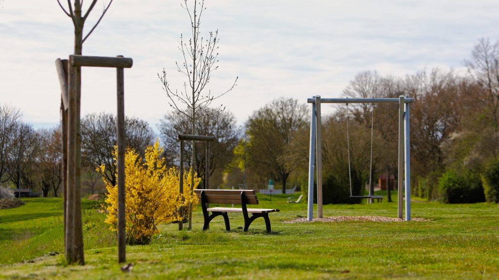 Bewegungslandschaft Seewiese