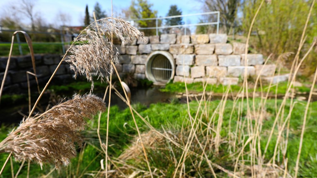 Umwelt- und Naturschutz: Renaturierung der Würm