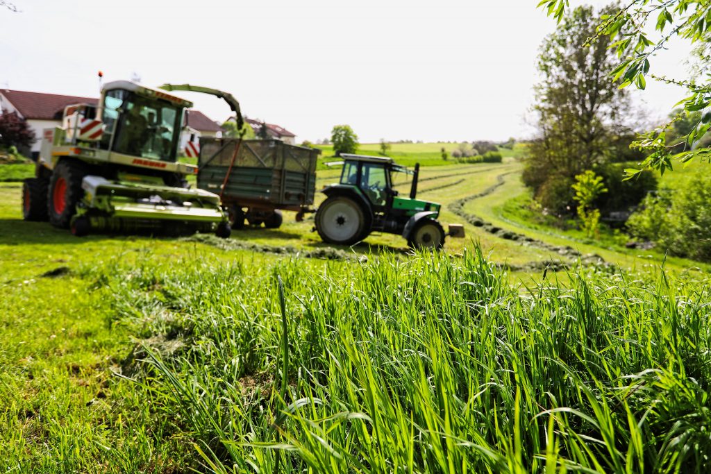 Landwirtschaftliche Arbeiten im Mühlental